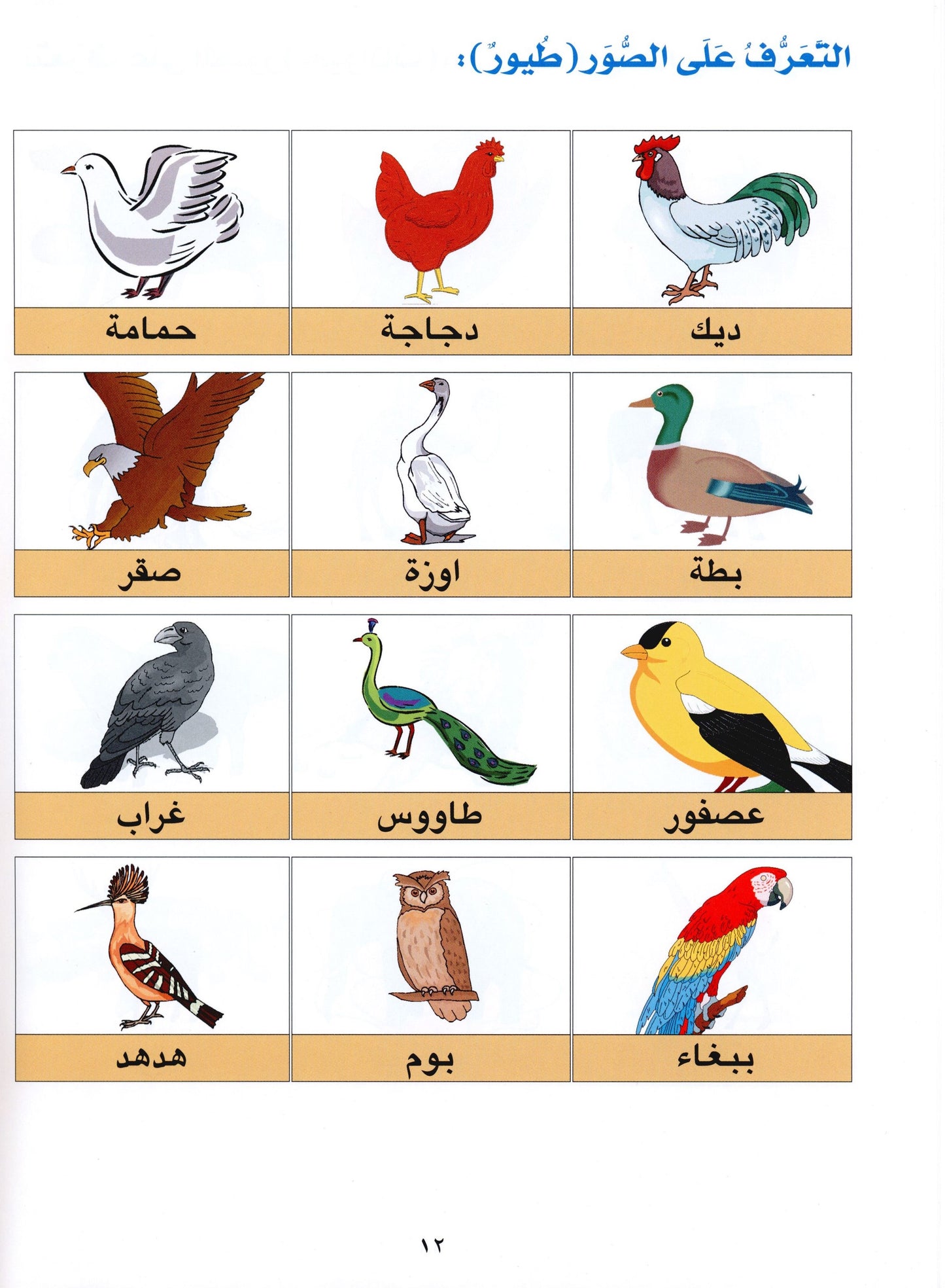 Al Aafaq Textbook - Grade/Level 1