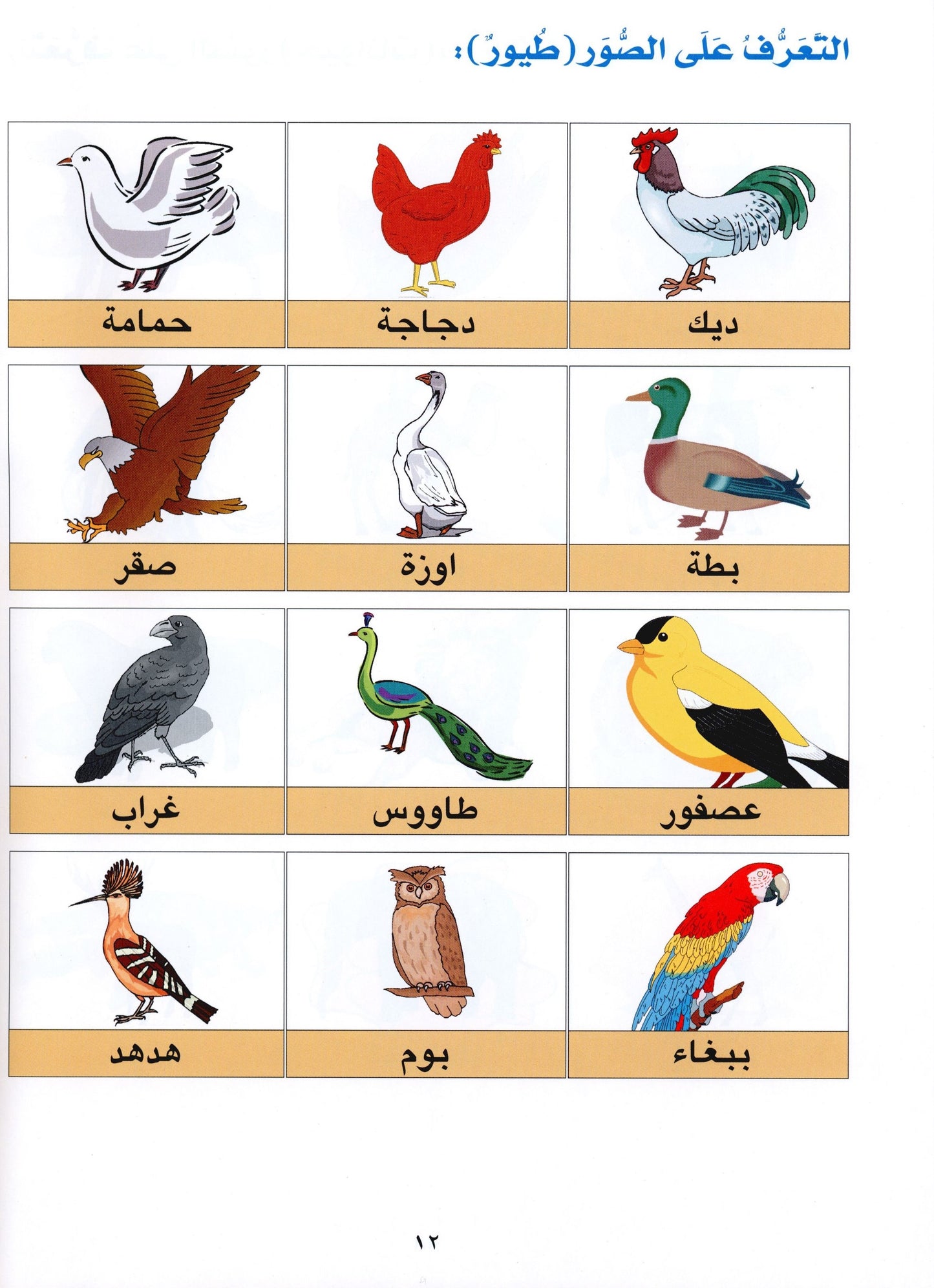 Al Aafaq Textbook - Grade/Level 1