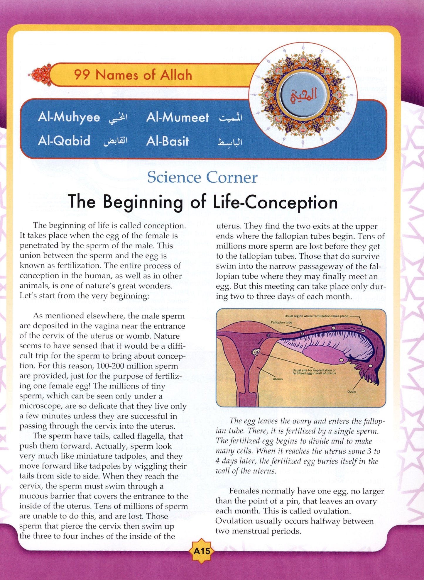 Learning Islam Textbook Level 3 (Grade 8)